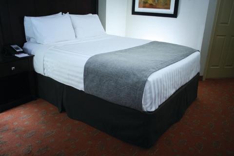 Windsor Chenille Bed Scarf