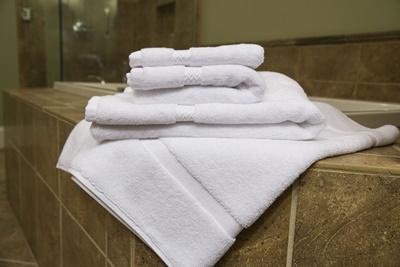 WPH Clean Towel with Antimicrobial Technology –