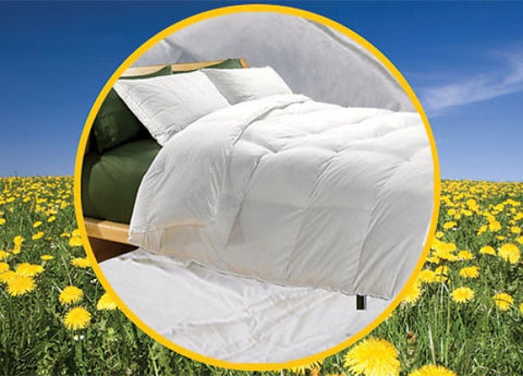 Golden Memory Eco Green Down Alternative Comforter