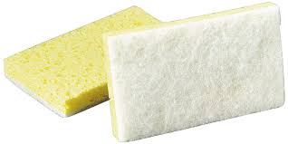 Sponges